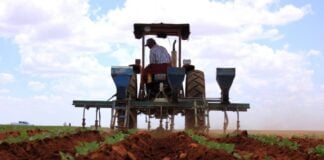 Farmer in Mexico planting crops