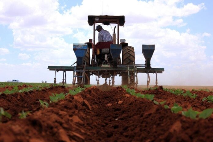 Farmer in Mexico planting crops