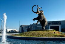 Mammoth discovery made in Mexico City
