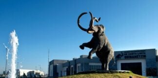 Mammoth discovery made in Mexico City