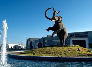 Mammoth discovery made in Mexico City