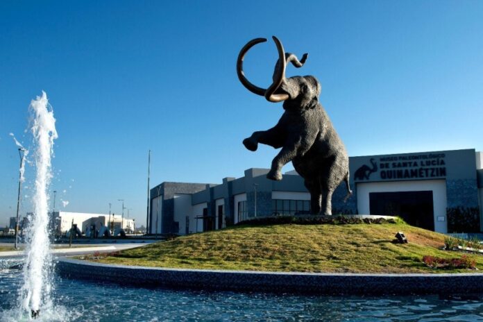 Mammoth discovery made in Mexico City