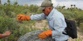 Ejido member in work gloves rolling up a coil of barbed wire that was removed from the Las Margaritas ejido in Wirikuta.