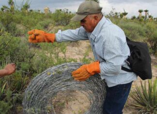 Ejido member in work gloves rolling up a coil of barbed wire that was removed from the Las Margaritas ejido in Wirikuta.