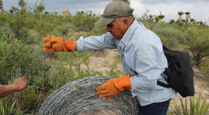 Ejido member in work gloves rolling up a coil of barbed wire that was removed from the Las Margaritas ejido in Wirikuta.