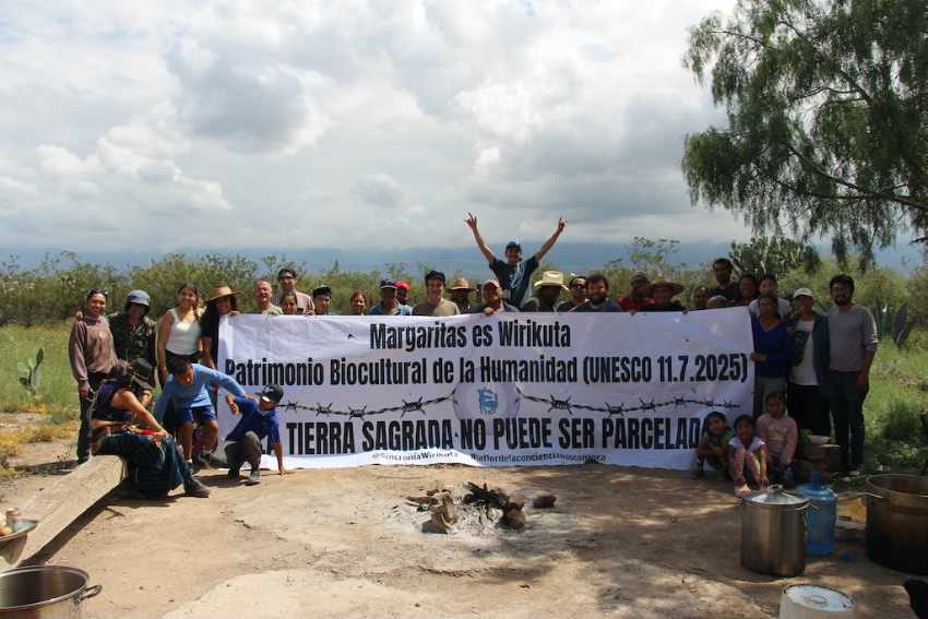 A group of ejido members, Wixárika and supporters, in Wirikuta holding a banner that reads: "Margaritas es Wirikuta Patrimonio Biocultural de la Humanidad (UNESCO 11.7.2025) / TIERRA SAGRADA NO PUEDE SER PARCELADA" ("Margaritas is Wirikuta Biocultural Heritage of Humanity...SACRED LAND CANNOT BE PARCELED").