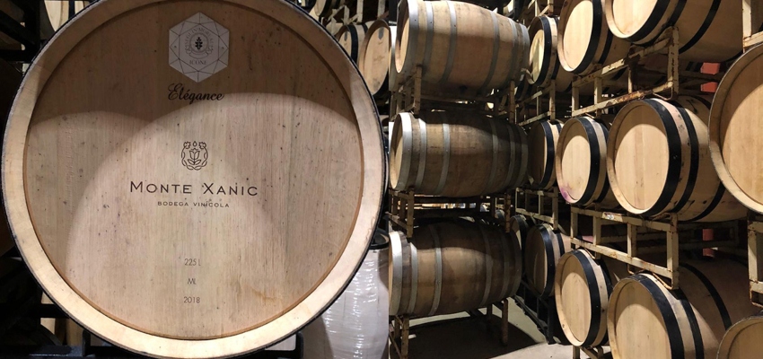 Barrels of Monte Xanic