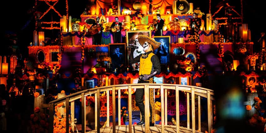 Calavanderia in Guadalajara