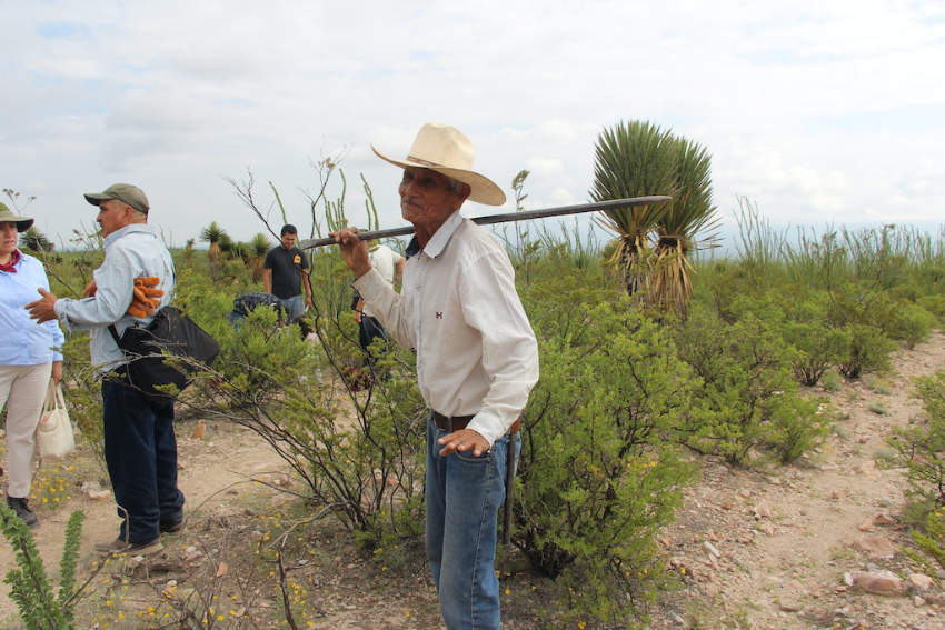 An elderly ejido member in a cowboy hat and jeans, carrying a tool over his shoulder as he walks with other land defenders through the brush in Wirikuta, Mexico.