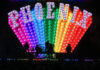 French rock band Phoenix performs on a dark stage in silhouette, backed by a massive, colorful LED screen displaying the band's name, PHOENIX, in large, marquee-style, light-up letters over a rainbow-colored, fan-shaped array of lights.