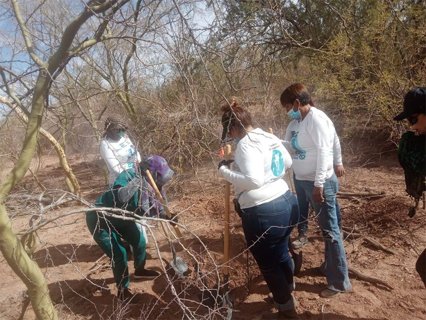 Women wearing Buscadoras Por La Paz search collective shirts dig a whole looking for bodies of missing people in the desert near Hermosillo