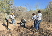 A group of women and a man from Buscadoras Por La Paz in Hermosillo dig a whole in the desert