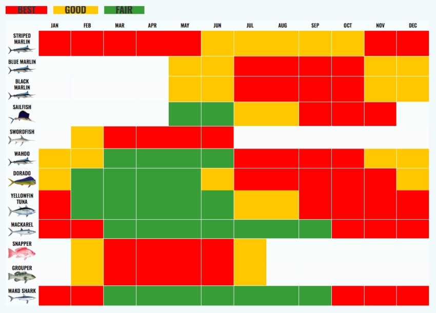 Los Cabos fishing calendar