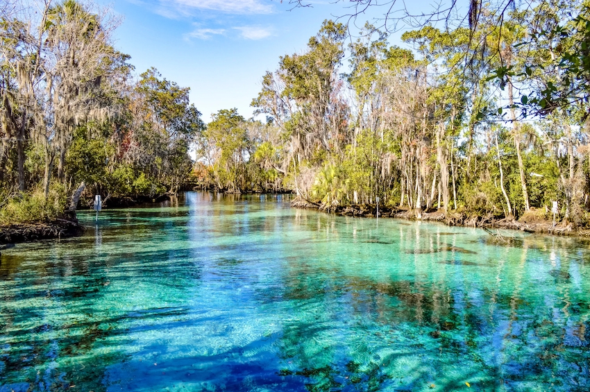 A narrow, clear, turquoise-green waterway winding through a dense mangrove forest, with the distinctive aerial roots of the mangrove trees visible along the banks.