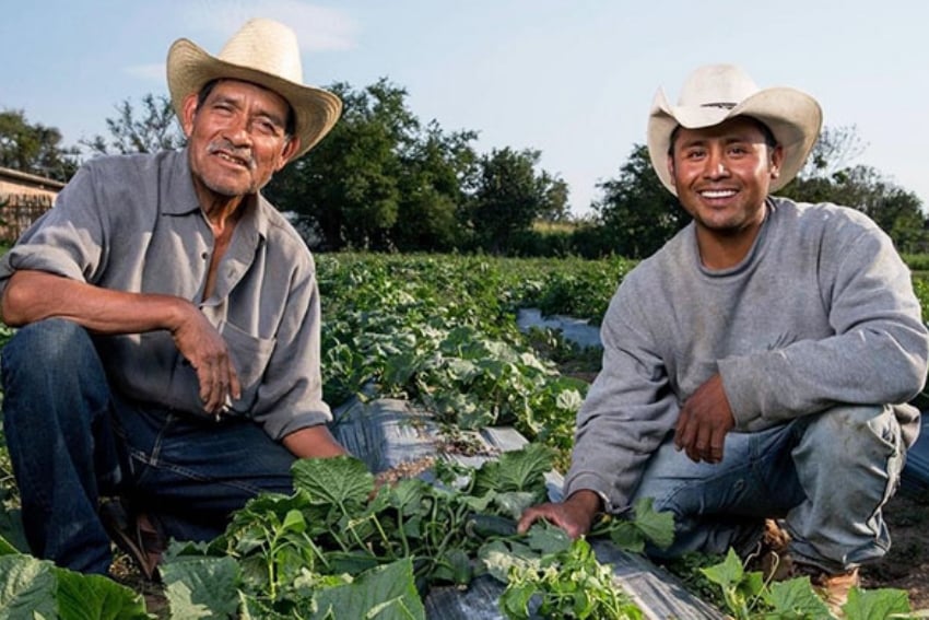 Mexican farmers