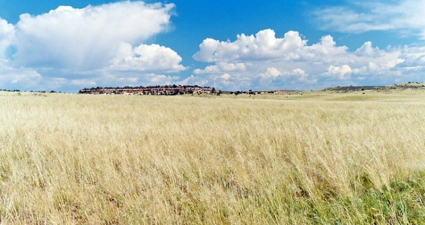 Crop field in the U.S. 