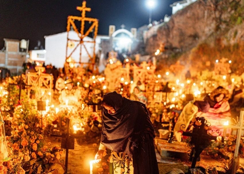 Mexico's flower of the dead