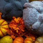 A staged close-up photo of a Día de Muertos altar featuring two types of Mexican pan de muerto. One is a large, light-colored loaf dusted heavily with white sugar, the other is dark but with the traditional pan de muerto "bones." Both are surrounded by vibrant orange cempasúchil marigold flowers and small orange and yellow decorative gourds.