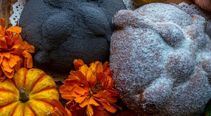 A staged close-up photo of a Día de Muertos altar featuring two types of Mexican pan de muerto. One is a large, light-colored loaf dusted heavily with white sugar, the other is dark but with the traditional pan de muerto "bones." Both are surrounded by vibrant orange cempasúchil marigold flowers and small orange and yellow decorative gourds.