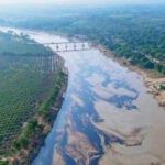 A plume of oil in a river