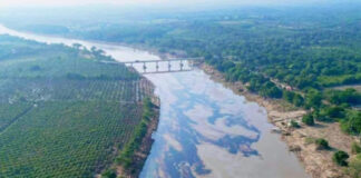 A plume of oil in a river