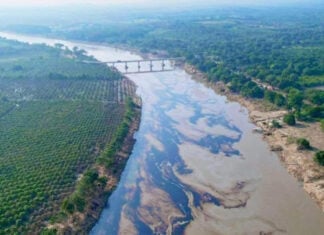 A plume of oil in a river