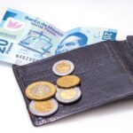 20 peso bill and coins
