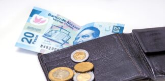 20 peso bill and coins