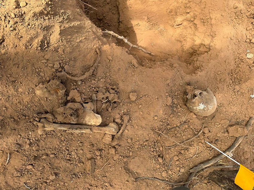 A skull and bones at the bottom of 