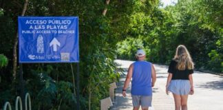 two people walking towards a beach in Tulum