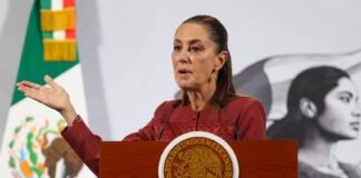 Sheinbaum mañanera Nov. 24, 2025