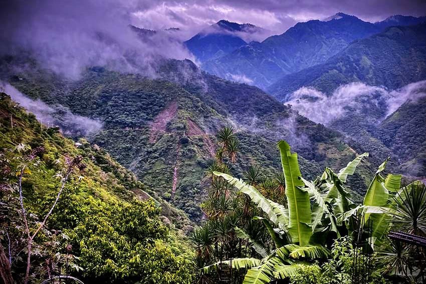 Cloud forest of Oaxaca
