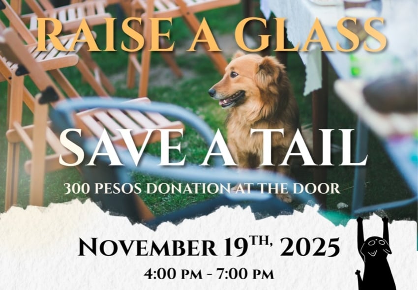 Friends of Puerto Vallarta Animals