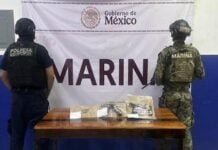 As part of the "Pez Vela 2025" security strategy, navy personnel arrested 54 "alleged lawbreakers" in recent days in the municipalities of Manzanillo, Tecomán, Villa de Álvarez and Colima.