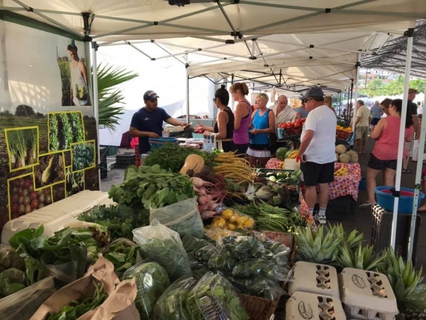 Riviera Market in Nuevo Vallarata