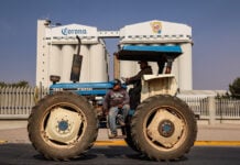 A farmer sits on a blue tractor in front of a Corona beer factory