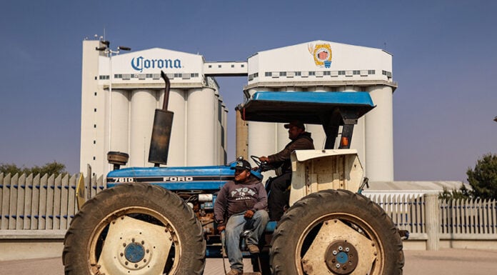 A farmer sits on a blue tractor in front of a Corona beer factory