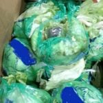 lettuce wrapped up in plastic