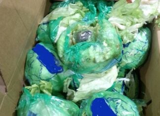 lettuce wrapped up in plastic