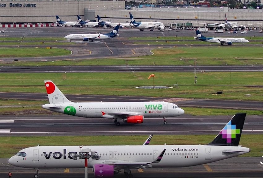 airplanes on tarmacs