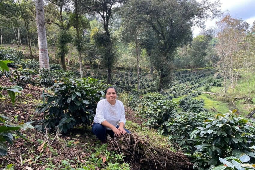 Coffee Farm Success Story: Julia Ortega’s Journey