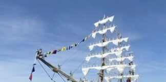 Mexxican training chip Cuautémoc