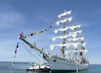 Mexxican training chip Cuautémoc