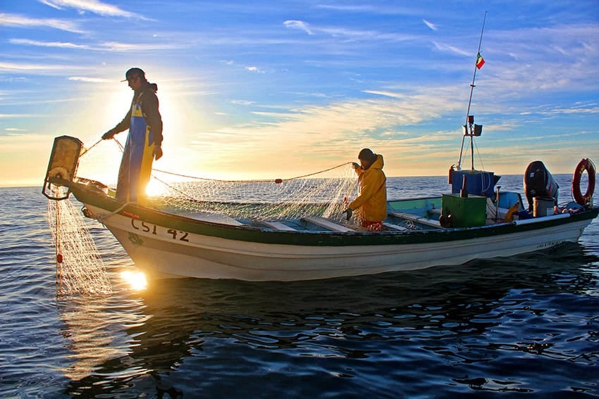 Artisanal fishers in a small boat or panga