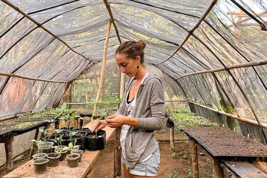 Reforestation at Playa Viva