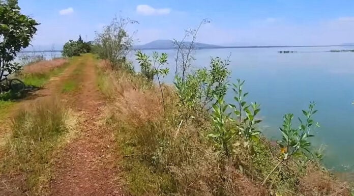 Lake Texcoco Park