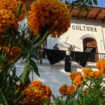 A government building adorned with a giant black bow and wide-brimmed hat, with marigolds in the foreground