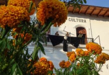 A government building adorned with a giant black bow and wide-brimmed hat, with marigolds in the foreground