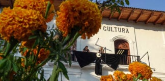 A government building adorned with a giant black bow and wide-brimmed hat, with marigolds in the foreground