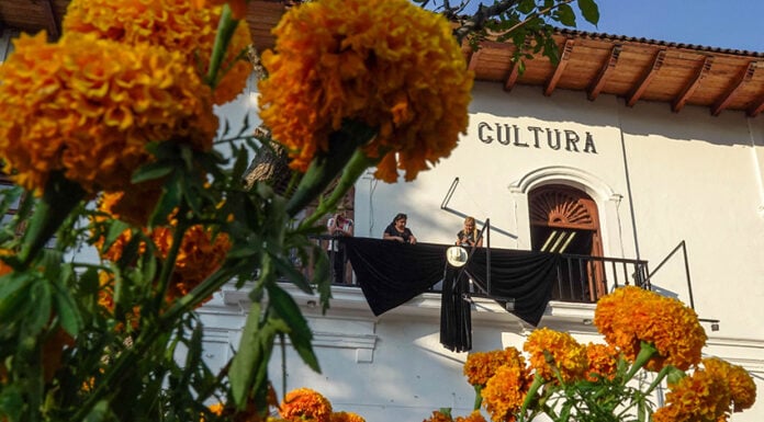 A government building adorned with a giant black bow and wide-brimmed hat, with marigolds in the foreground